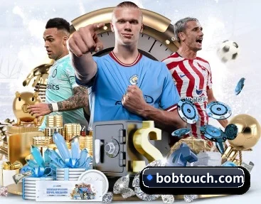 bobtouch.com APP 深度功能