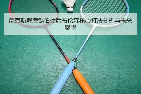 ni-ke-si-jie-gu-xi-bo-du-hou-bu-lun-sen-he-xin-da-fa-fen-xi-yu-wei-lai-zhan-wang-2-438.jpg