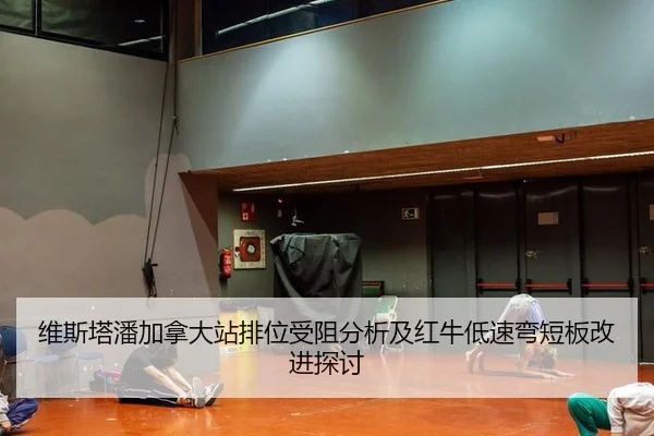 wei-si-ta-pan-jia-na-da-zhan-pai-wei-shou-zu-fen-xi-ji-hong-niu-di-su-wan-duan-ban-gai-jin-tan-tao-2-715.jpg